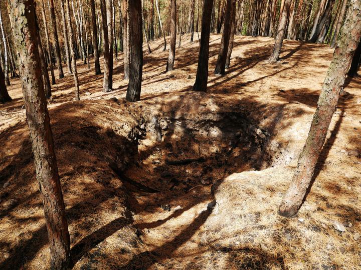 /images/2019/burnt-woods-8.thumbnail.jpg